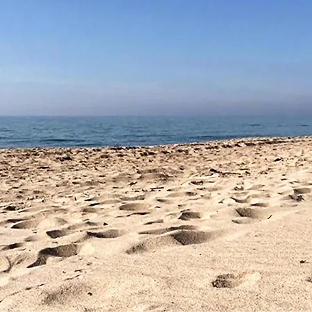 In With Wifi * Bobolin