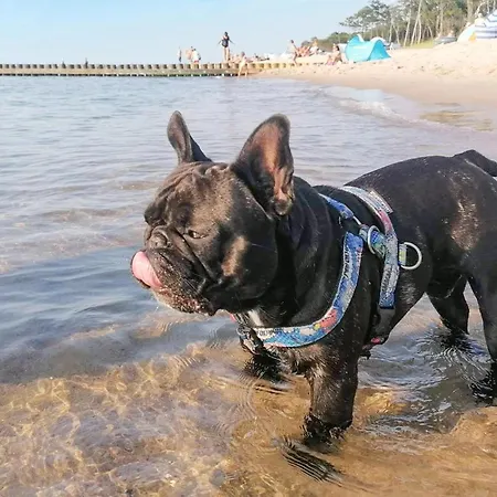 Lägenhet In With Wifi Bobolin