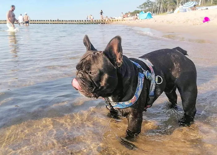 Apartamento In With Wifi Bobolin